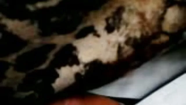 XXX không đăng ký  Tự chế khiêu dâm đồng clip sec khong che tính 2018