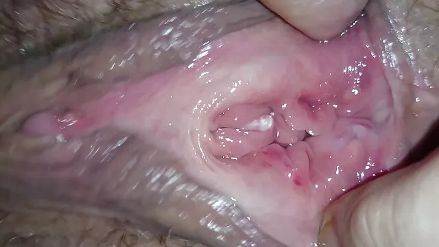 XXX không đăng ký  Gấu trúc đến từ đâu? xem phim sec khong che